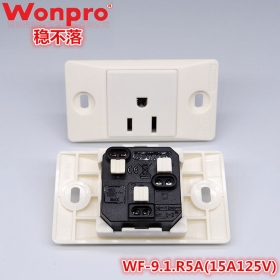 WF-9.1.R5A(15A125V)