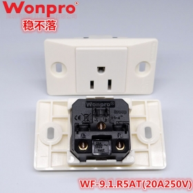WF-9.1.R5AT(20A250V)